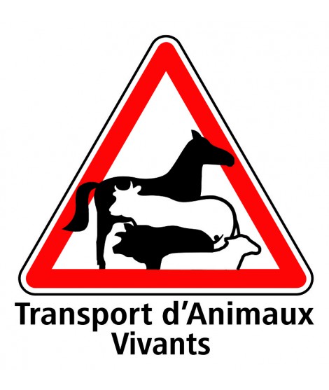 PANNEAU TRANSPORT D ANIMAUX VIVANT 20 X 20CM